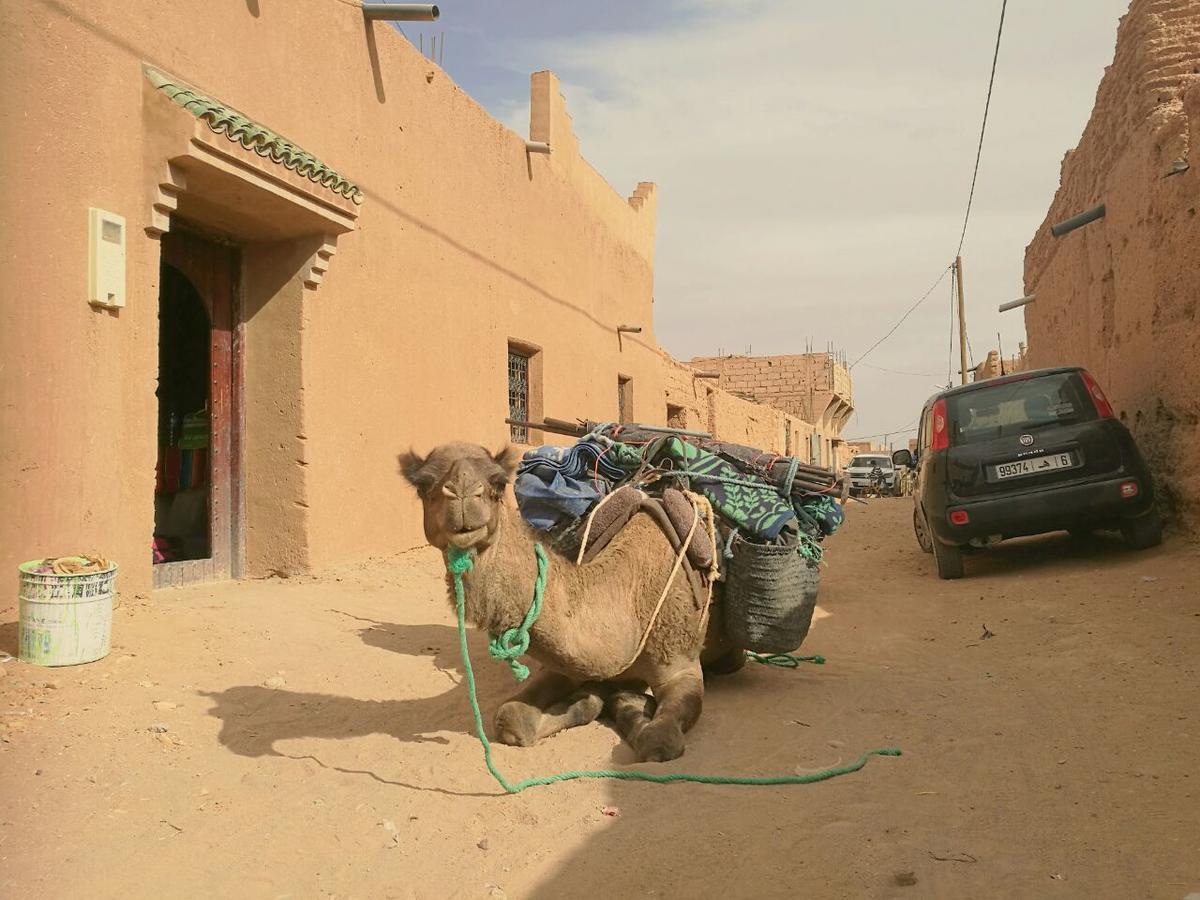 Authentic Riad & Activities Erg M'Hamid Buitenkant foto